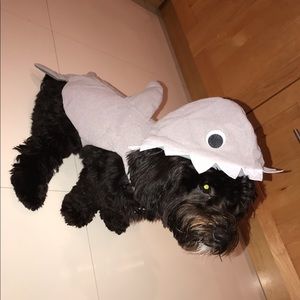 Shark dog costume